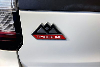 2024 Ford Expedition Timberline