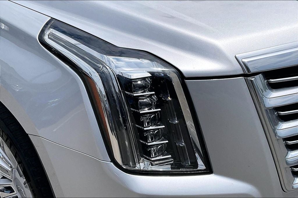 2019 Cadillac Escalade ESV Platinum Edition