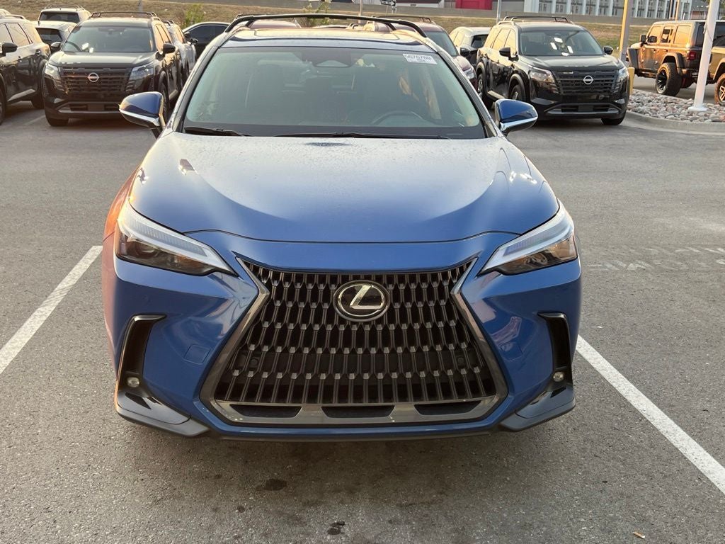 2025 Lexus NX 350 Premium